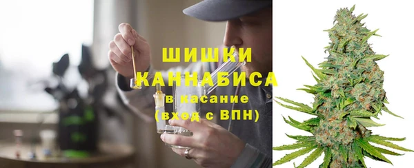 ГАЛЛЮЦИНОГЕННЫЕ ГРИБЫ Покров