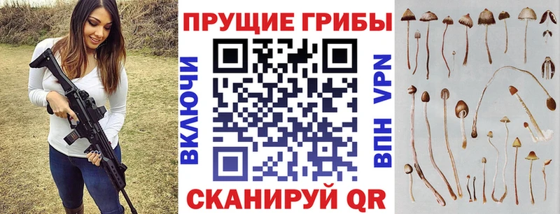 Псилоцибиновые грибы Cubensis Корсаков
